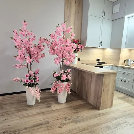 Towarowa Sakura Apartment, Free Parking, Air-conditioning, Self Check-in 24h